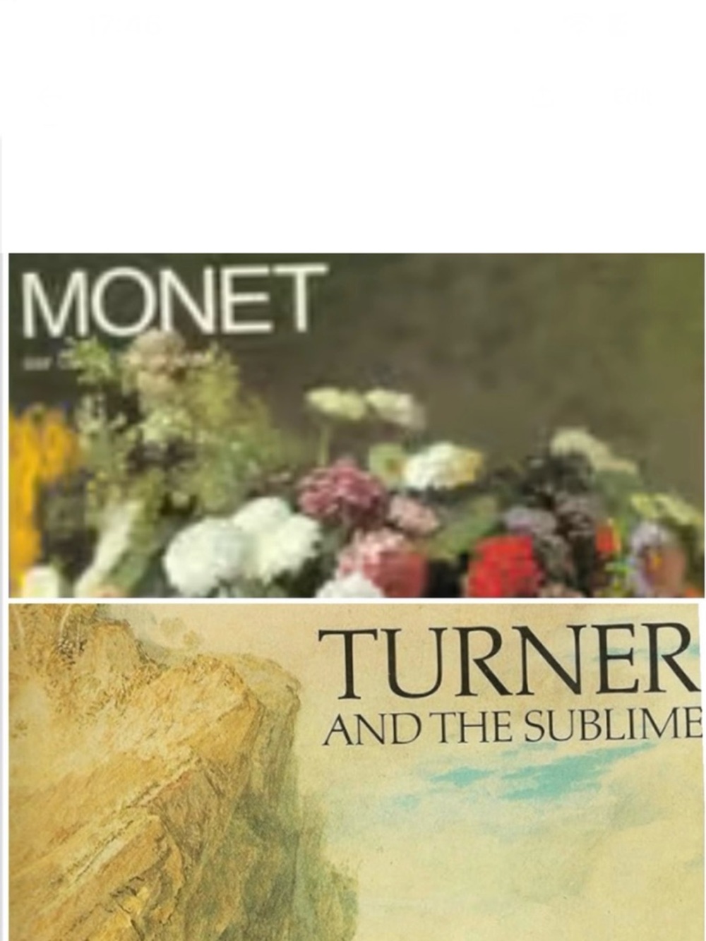 Vintage Art Book Lot: Turner & Monet - Paperback- Illustrated Treasure Hunt Gift